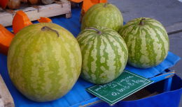 Banc de marché : melon d'Espagne. Bergerac, printemps 2016